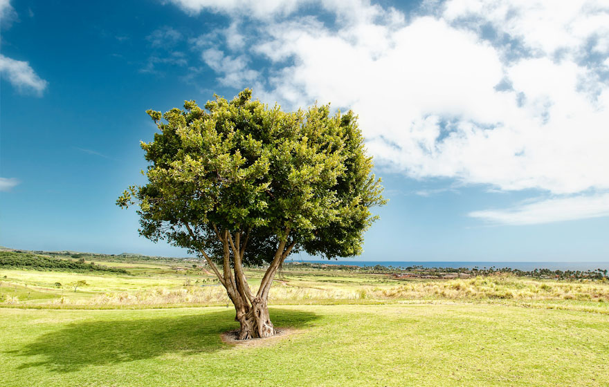 云顶集团·(中国区)官方网站